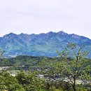 달미