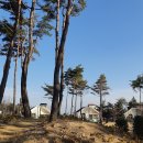 달음산자연휴양림 이미지