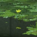 신구대학교 이미지