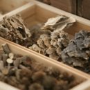 백두대간약초나라 이미지