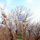 가림리 | 금남호남정맥 제3구간 오계재에서 강정골재까지 산행 후기