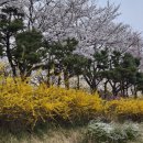 남강둔치(신안동~평거동) 이미지