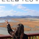 순천만 쉼표2 이미지