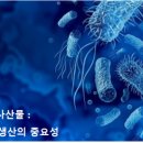 농업회사법인 주식회사 정봉벌꿀 Daum카페