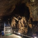 비안농장 | [25울진]울진 2박3일-여행일정 추천(아이동반)