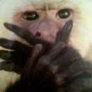 데이바이데이 네이버블로그