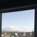 THE Zan 이미지