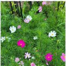 동해황토민박 이미지