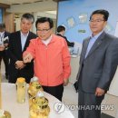 국립원예특작과학원 인삼특작부 이미지