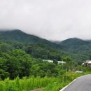 덕동식당민박 이미지