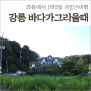 바다가 그리울때 | 강릉펜션 경포대 바다가그리울때 펜션 낭만가득 자전거여행 후기