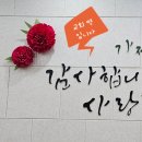 교회에 꾸민 벽장식 자이언트 카네이션