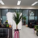 원탑공인중개사사무소 이미지