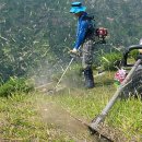 강정동-41 이미지