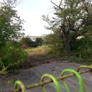 평남농장 이미지