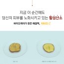 강한 자외선으로 칙칙해진 피부에 비타민세럼 이미지