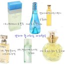 훈녀필수템! 향수생정이왔어요 (스압) 이미지