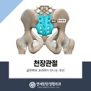탄탄정형외과 이미지
