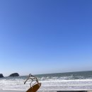 레오하우스 이미지