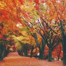 송죽모텔 이미지