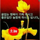 대가참숯불구이 네이버블로그