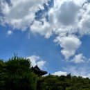 닥터풍치과의원 이미지