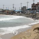 백사장해변