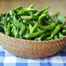 태경농장 이미지