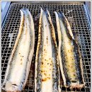 장어의 꿈 이미지