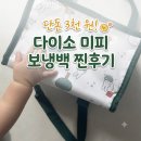 [내돈내산] 다이소 미피 사각보냉가방 구매 및 사용 후기: 이유식 용기 몇 개나 들어갈까?
