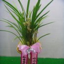 함열장례식장 이미지