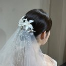 헤미쉬헤어
