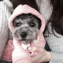 강남퍼스트약국 이미지