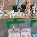 좋은아침약국 이미지