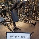 청주 강서동 센터 정리로 디랙스,뉴텍, 스트렝스라이프 머신 판매합니다 이미지