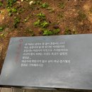 스테이해뜰우 이미지