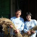 양지 농장2 이미지