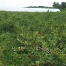 복안농장 이미지