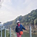 율곡수목원(1) 이미지