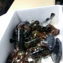 지오낚시터