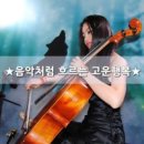 흐르는음악처럼 이미지