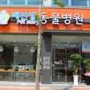 배선생펫스토리동물병원