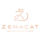 천안고양이분양 베스트캣 제나캣 천안점 이미지