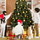 크리스마스 트리 이미지