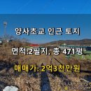 양사초교 이미지