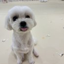 개러리아 이미지