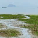 홀통유원지(3) 이미지