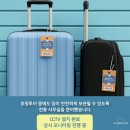 BBQ하이 | 보홀 발리카삭 호핑 내돈내산 야하이 호핑 후기｜발리카삭 거북이 스노쿨링 강추