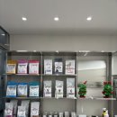 경기도 수원 강아지 치과 전문 병원 스케일링 발치 수술 &lt;뿌리동물병원&gt;