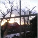 선흘 그곳 이미지